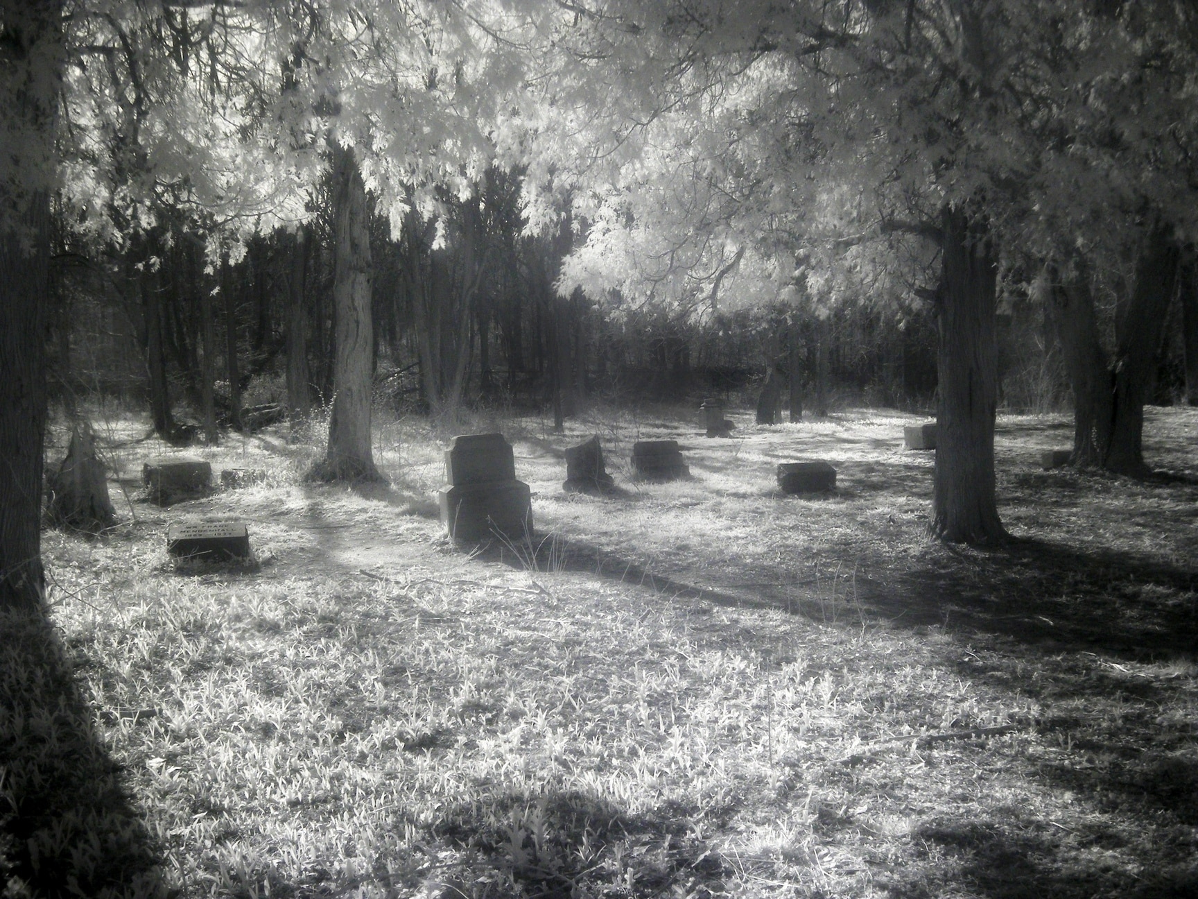 Bachelor’s Grove Cemetery: Hauntings and History