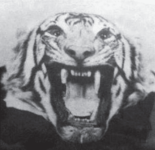The Champawat Tiger: Weretiger and Death in Nepal and India?
