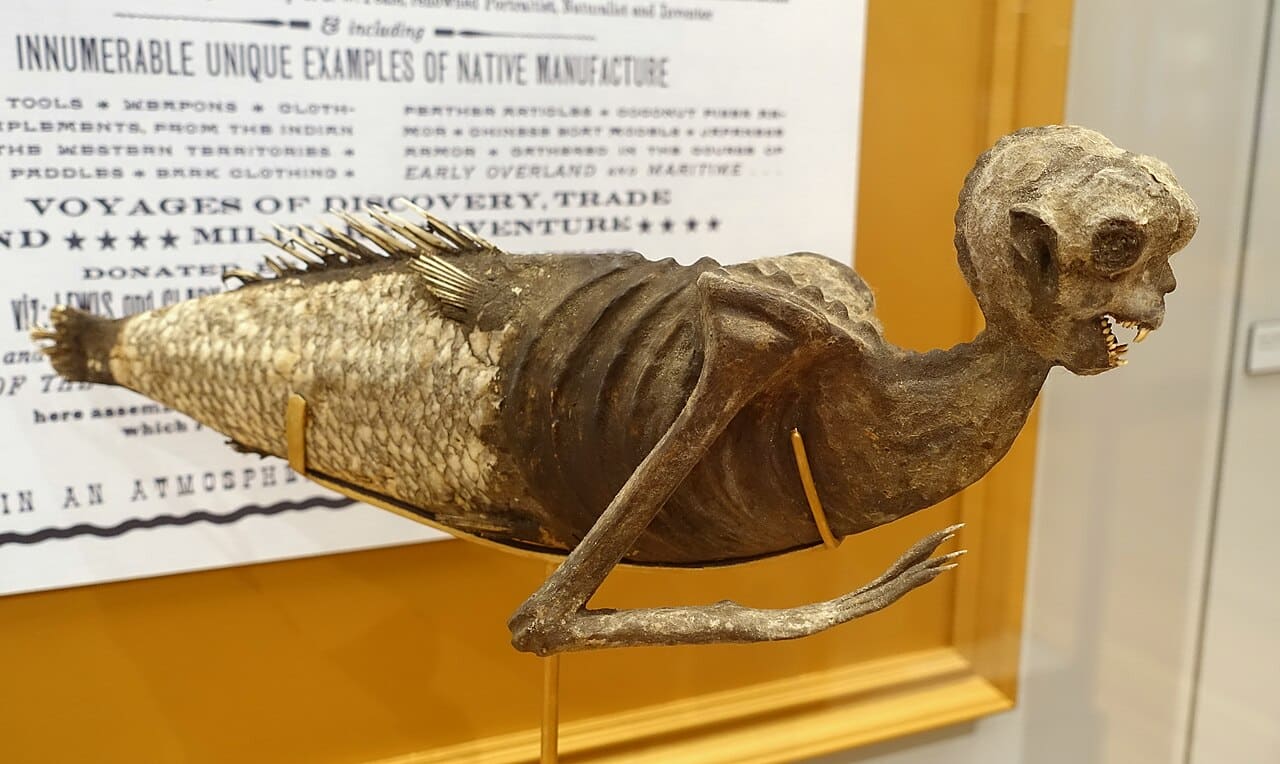 The Feejee Mermaid: A 19th Century Hoax Explored