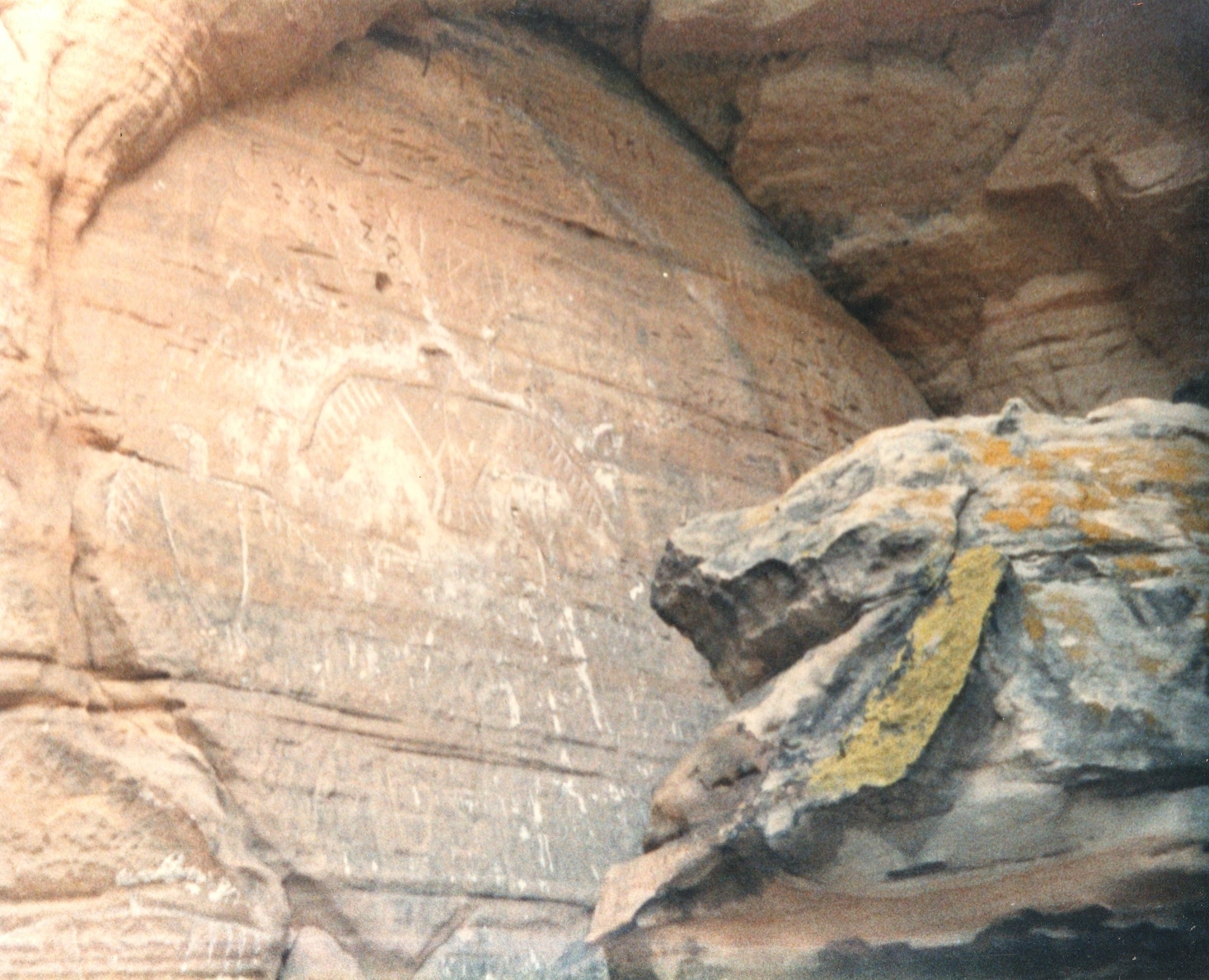 Thunderbird Legend: Native Tradition Meets Cryptozoology
