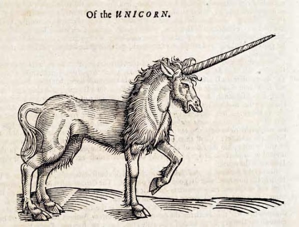 Were Unicorns Real? The Animals That Inspired the Myth