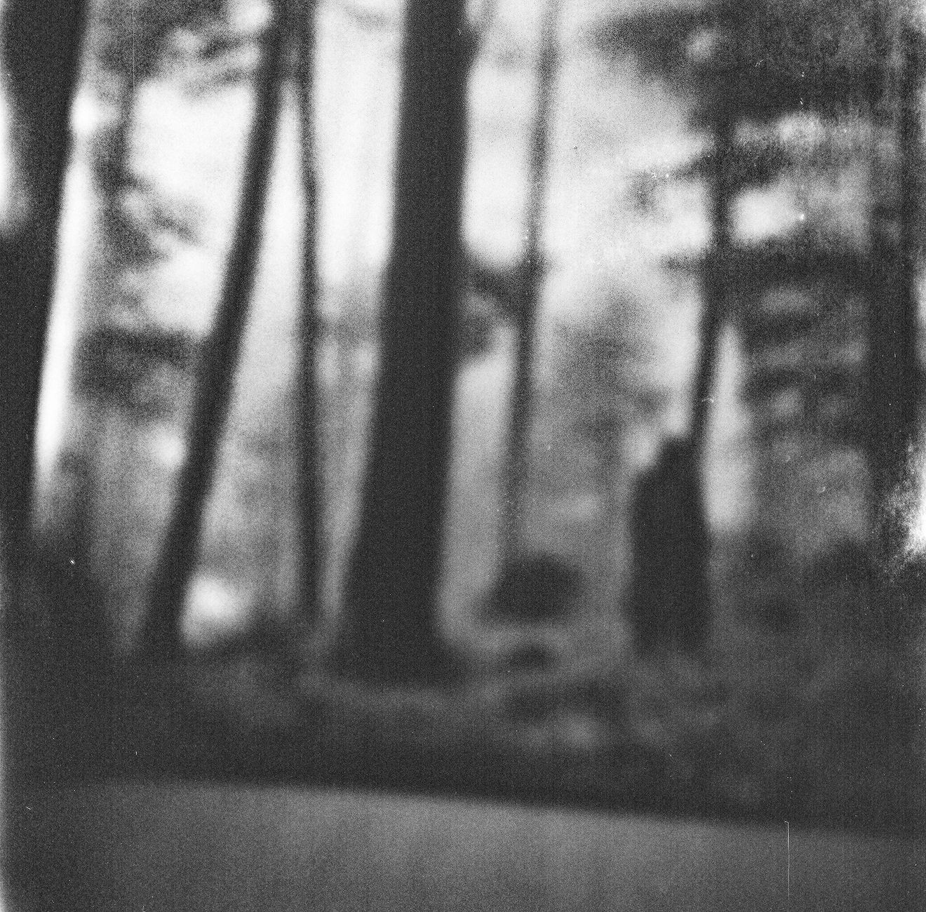 person standing among trees in forest in black and white